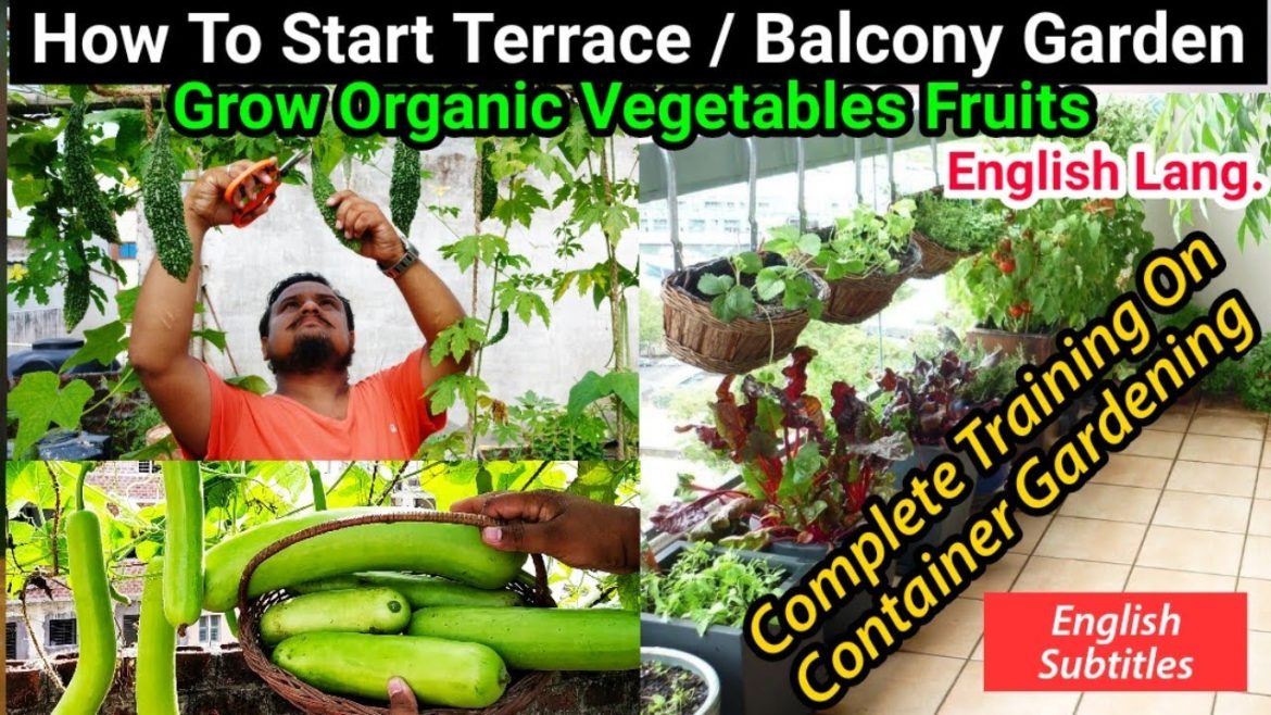 How To Start Terrace Garden : Complete Training On Container Gardening : All In One Video (English)