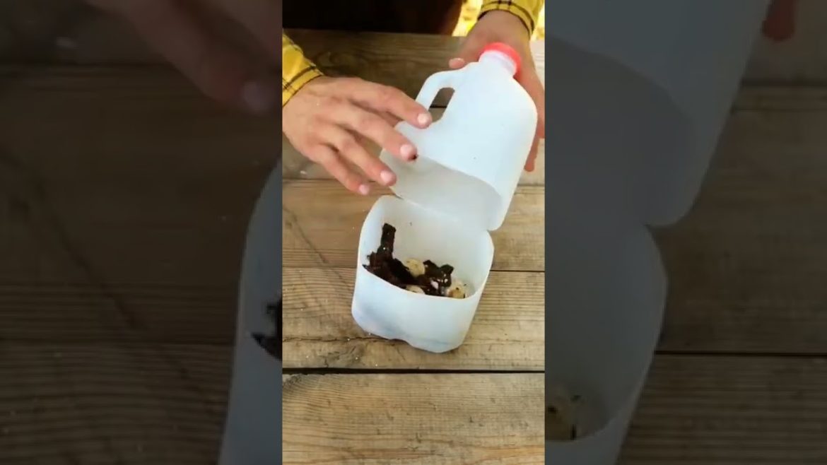 GARDEN HACK WITH ME #SHORTS