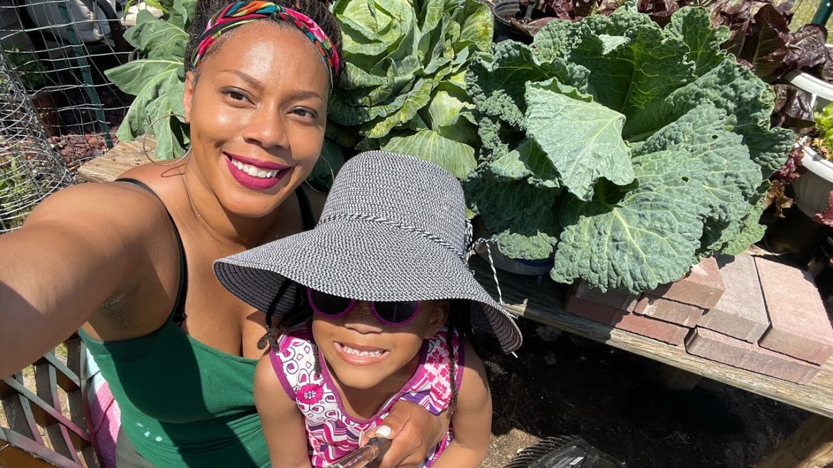 Raised Bed and Container Garden Tour Gardening 2022 Peppers,Tomatoes, Cabbage, Onion, Garlic …… Raised Bed and Container Garden Tour Gardening 2022 Peppers,Tomatoes, Cabbage, Onion, Garlic ......