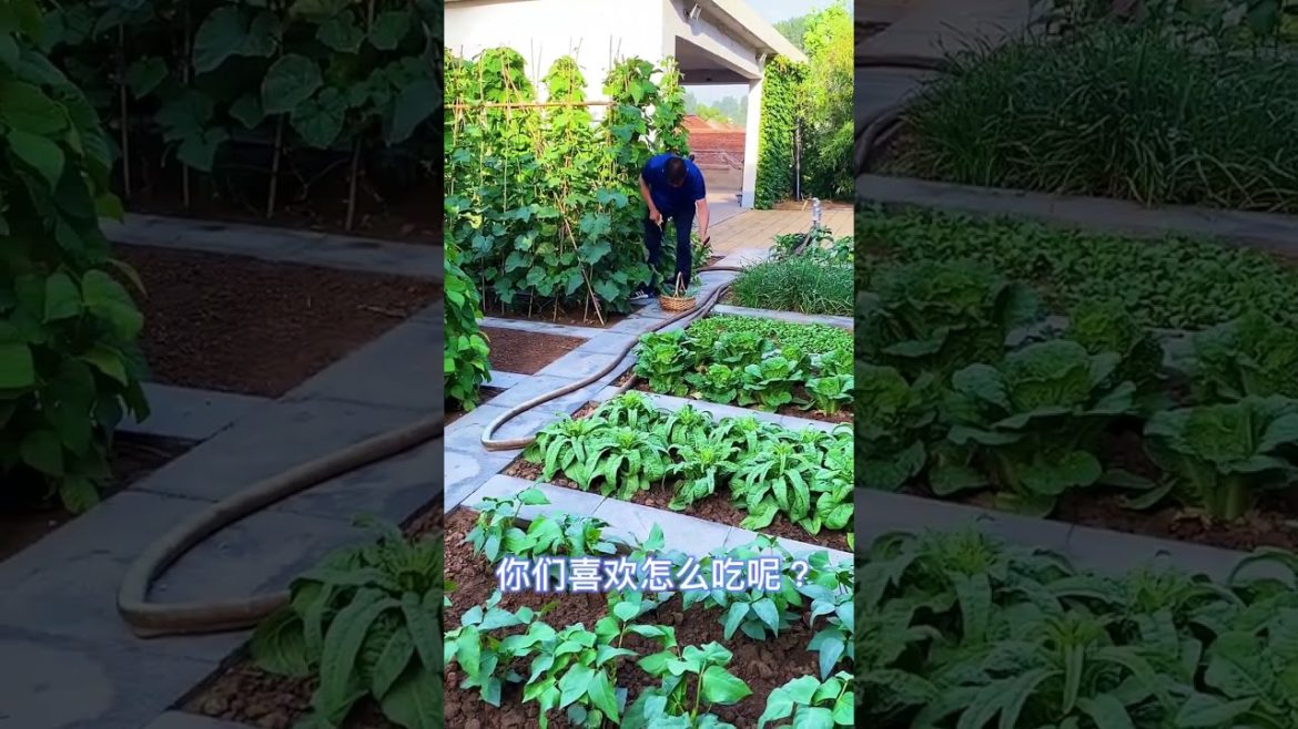 October Tips for garden  at home with me