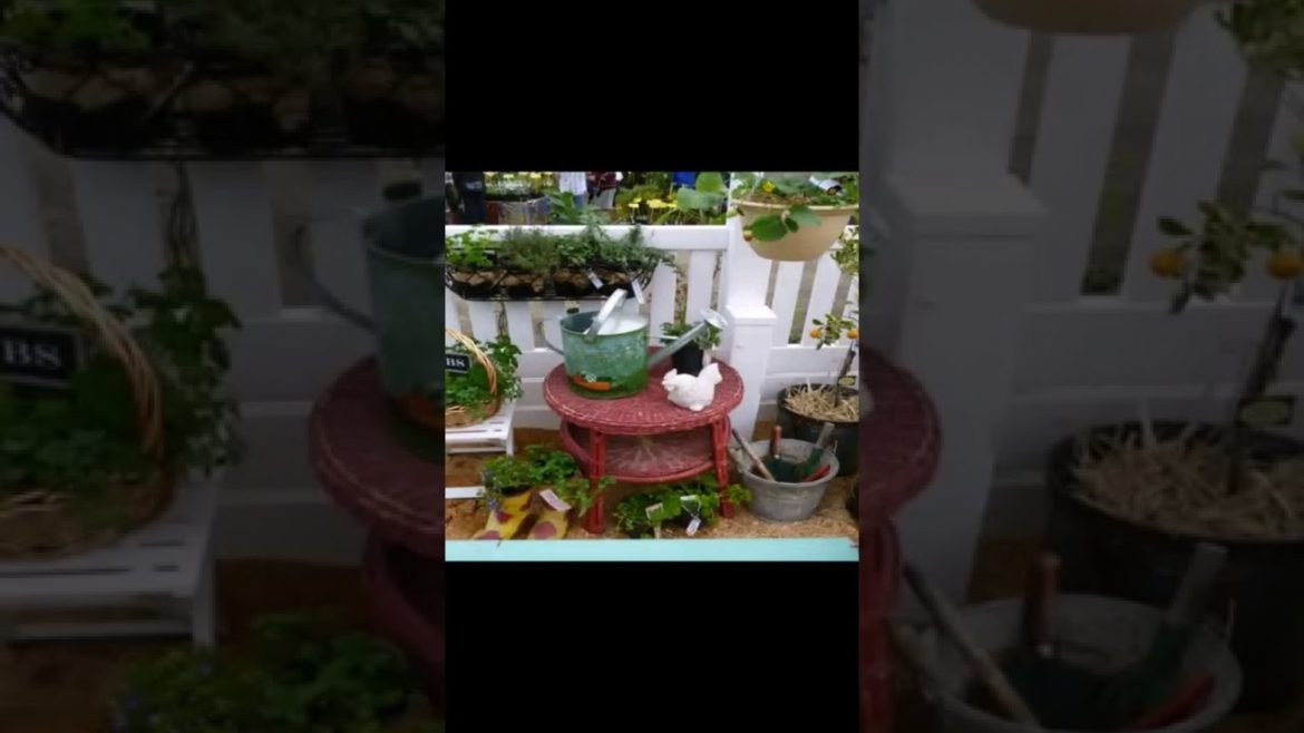 Landscape Desing ideas Best ideas for  garden and landscape #1335 #shorts 10