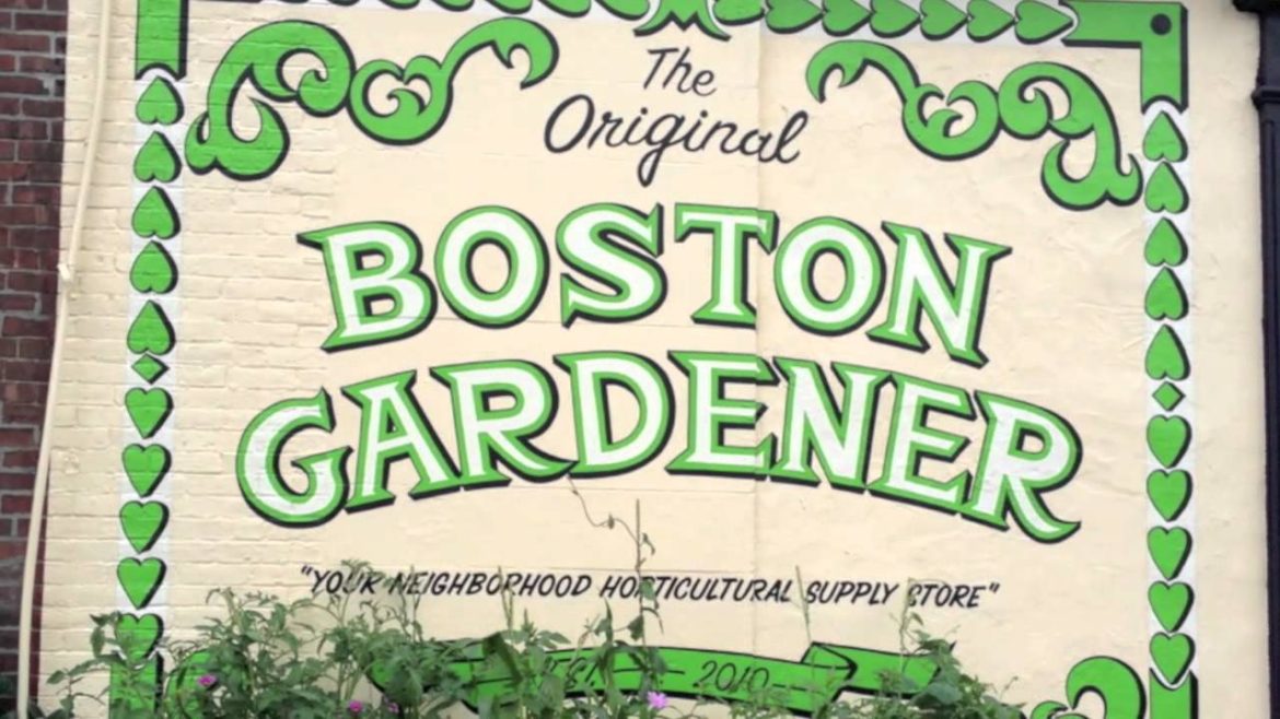 Grow Shops in Boston MA: Boston Gardener & General Hydroponics