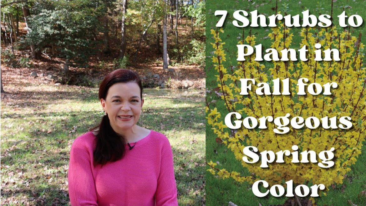 7 Shrubs to Plant in Fall for Beautiful Spring Color | Gardening with Creekside 7 Shrubs to Plant in Fall for Beautiful Spring Color | Gardening with Creekside
