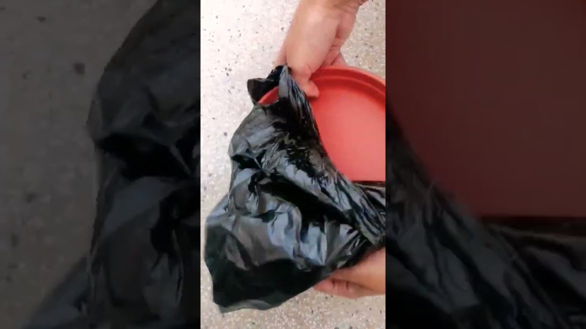 Garden Shopping!! Unpacking Pot trays #shorts #viral #trending #pottray #nishthamahant Garden Shopping!! Unpacking Pot trays #shorts #viral #trending #pottray #nishthamahant