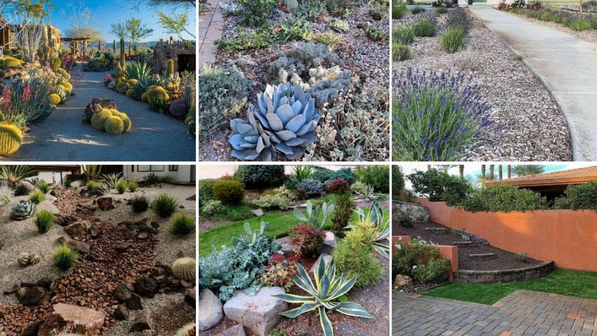 13 Desert Landscaping Ideas to Try
