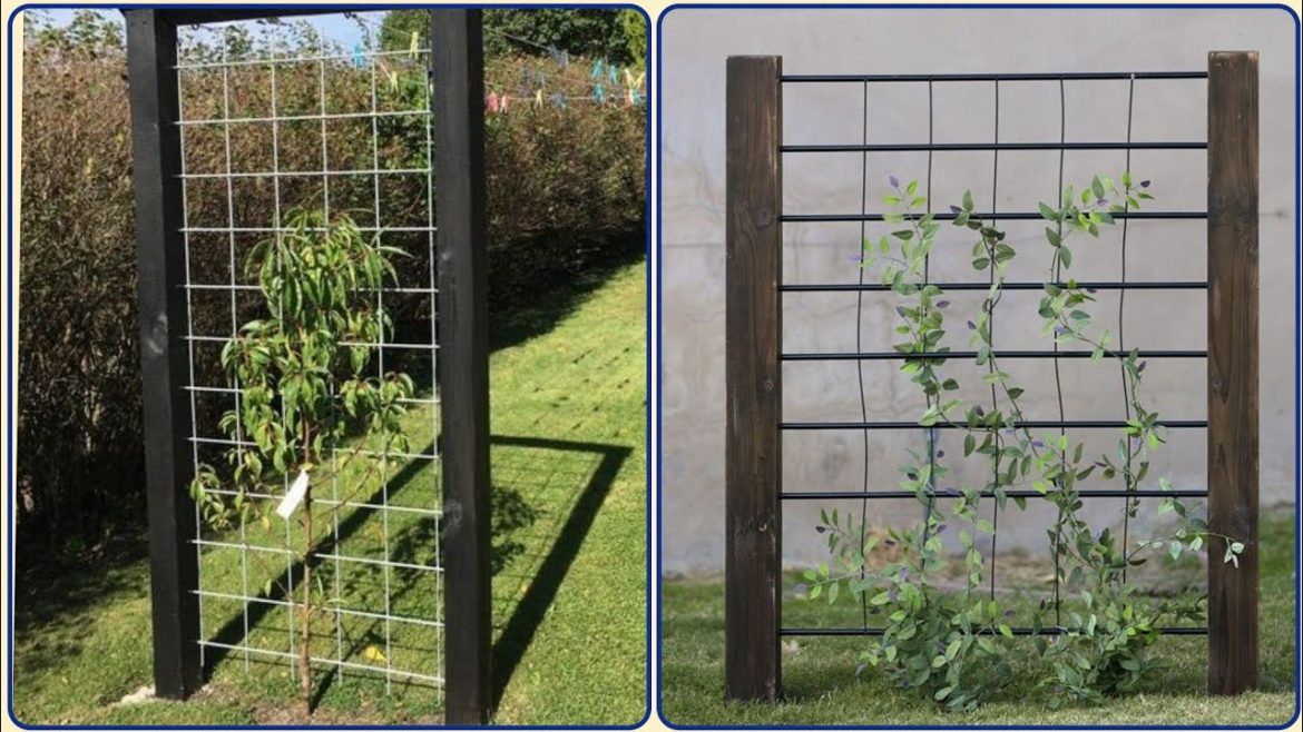 Small Garden Trellis & Lattice - Unique Garden Designs