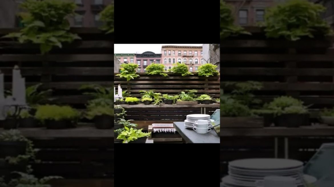 Landscape Desing ideas Best ideas for  garden and landscape #1335 #shorts 12