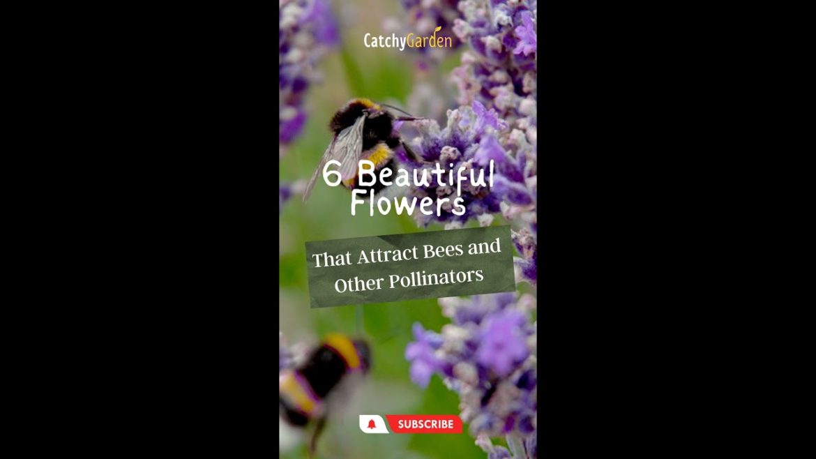 6 Beautiful Flowers That Attract Bees and Other Pollinators 🌻🐝🌸 // #short #shorts
