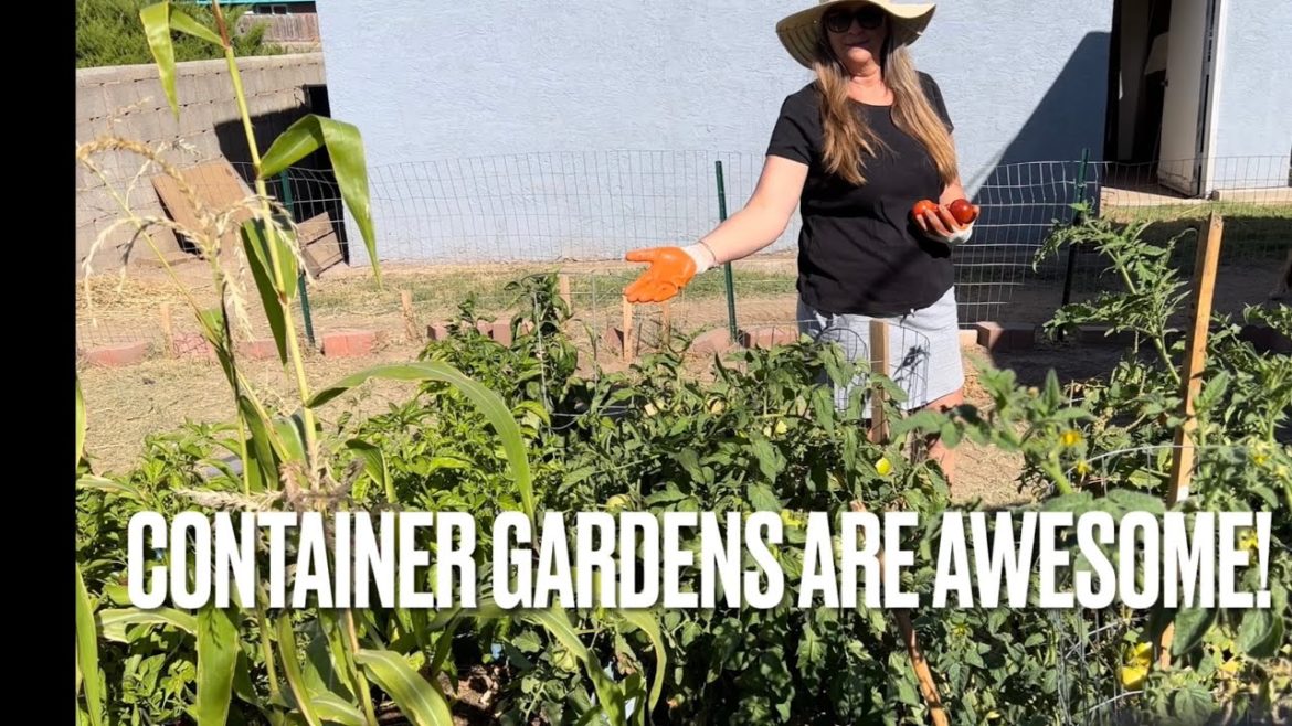 Container gardening for beginners