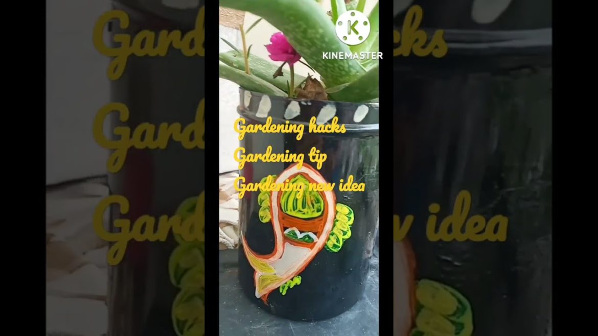 gardening hacks gardening idea gardening tip portulaca aloevera #shorts#ytubeshorts#Mai hu Rashmi