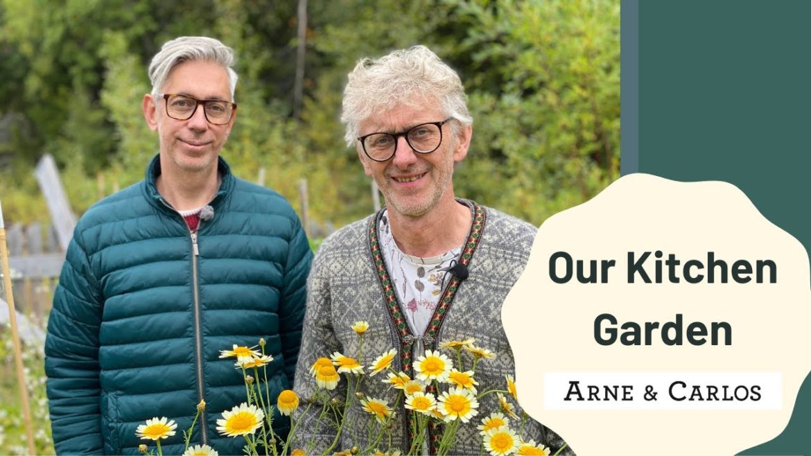 Kitchen garden tour and update fall 2022 by ARNE & CARLOS