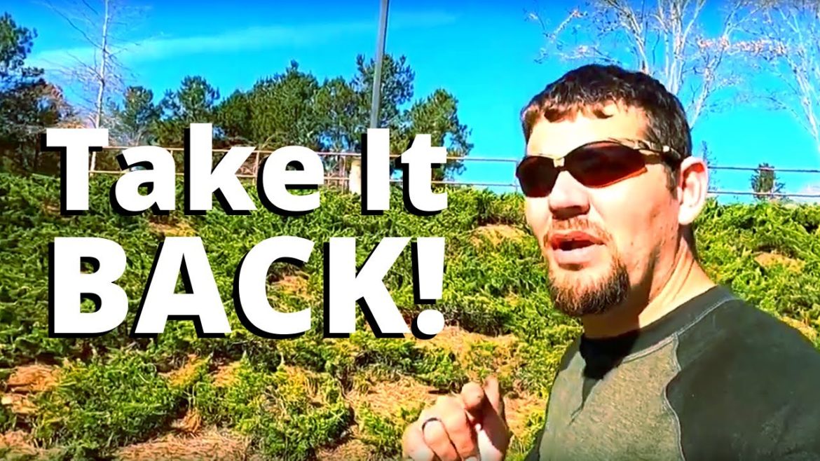 Overgrown Front Yard? Landscaping Overhaul from 1st Choice Overgrown Front Yard? Landscaping Overhaul from 1st Choice