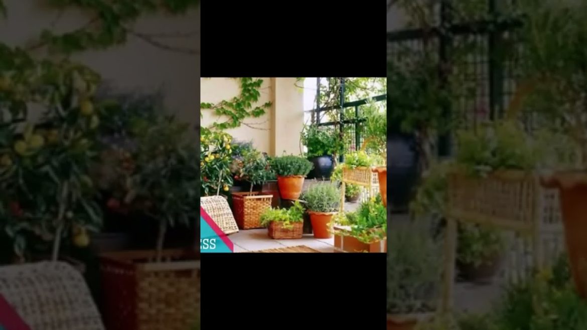 Landscape Desing ideas Best ideas for  garden and landscape #1335 #shorts 11