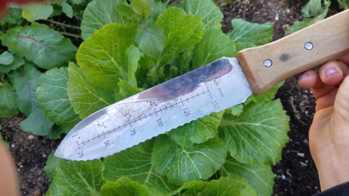 The Best Garden Tool