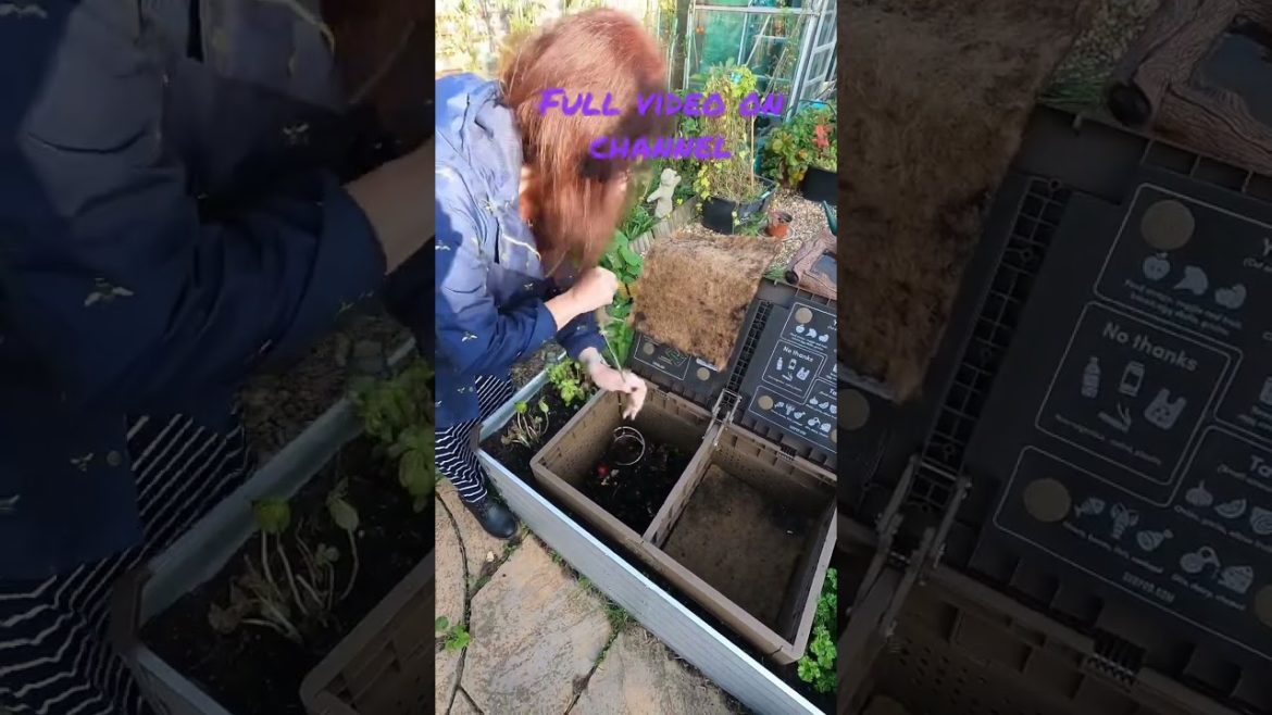 Feeding My Subpod Home Composting System #subpod Feeding My Subpod Home Composting System #subpod