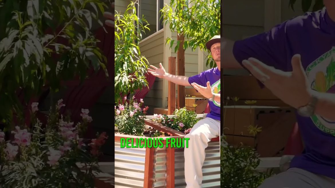 Full video on our channel now! 🤯 #ediblelandscaping #pollinating