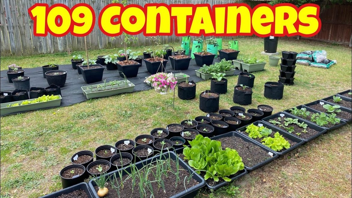 2022 Spring Container Garden Tour