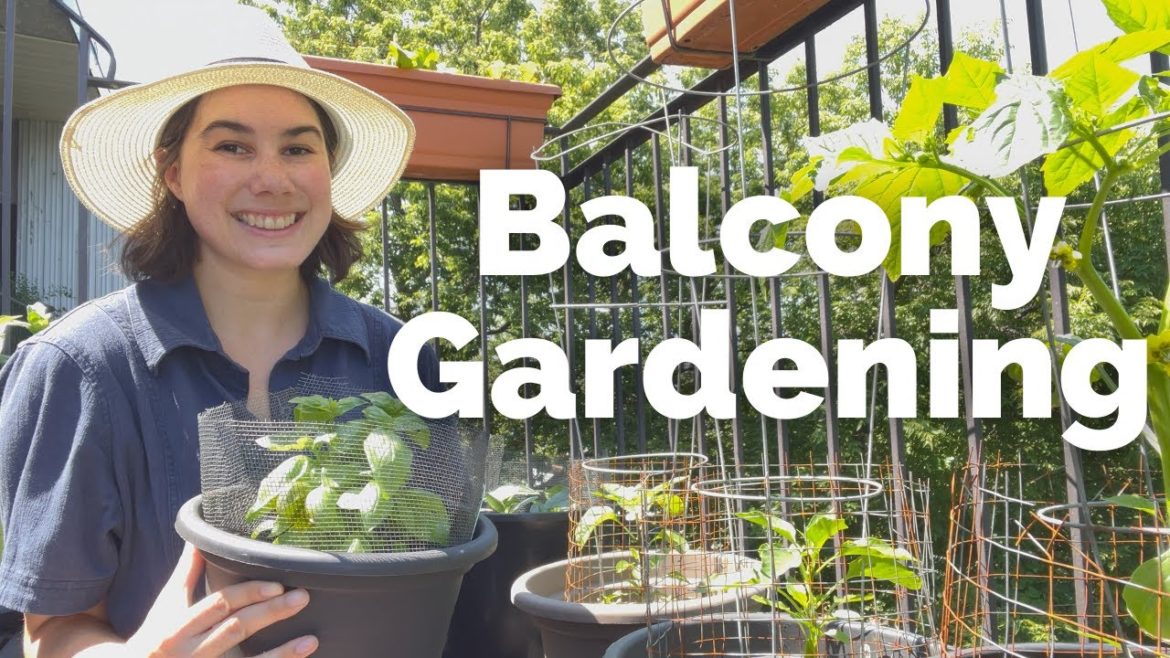 Container Gardening Hit-and-Miss | Garden Update | Gardening Series 2022 | Episode 4