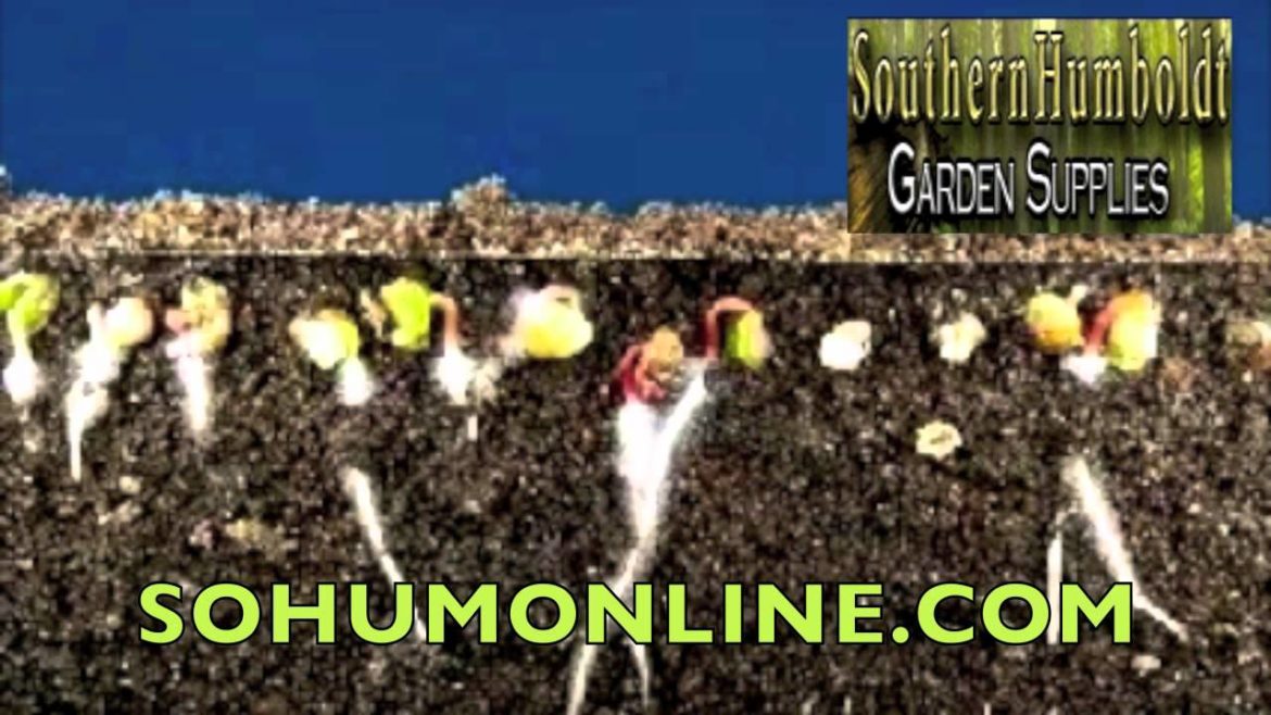 Humboldt Roots: Southern Humboldt Garden Supplies Humboldt Roots: Southern Humboldt Garden Supplies