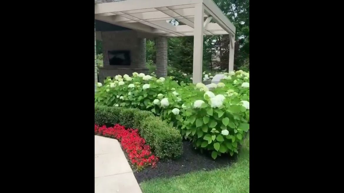 What a dreamy backyard, backyard decor ideas