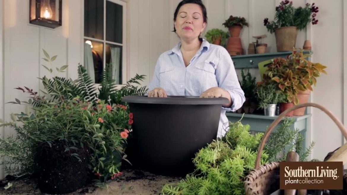 How-To Plant a Fall Container Garden for Your Front Porch with Carmen Johnston