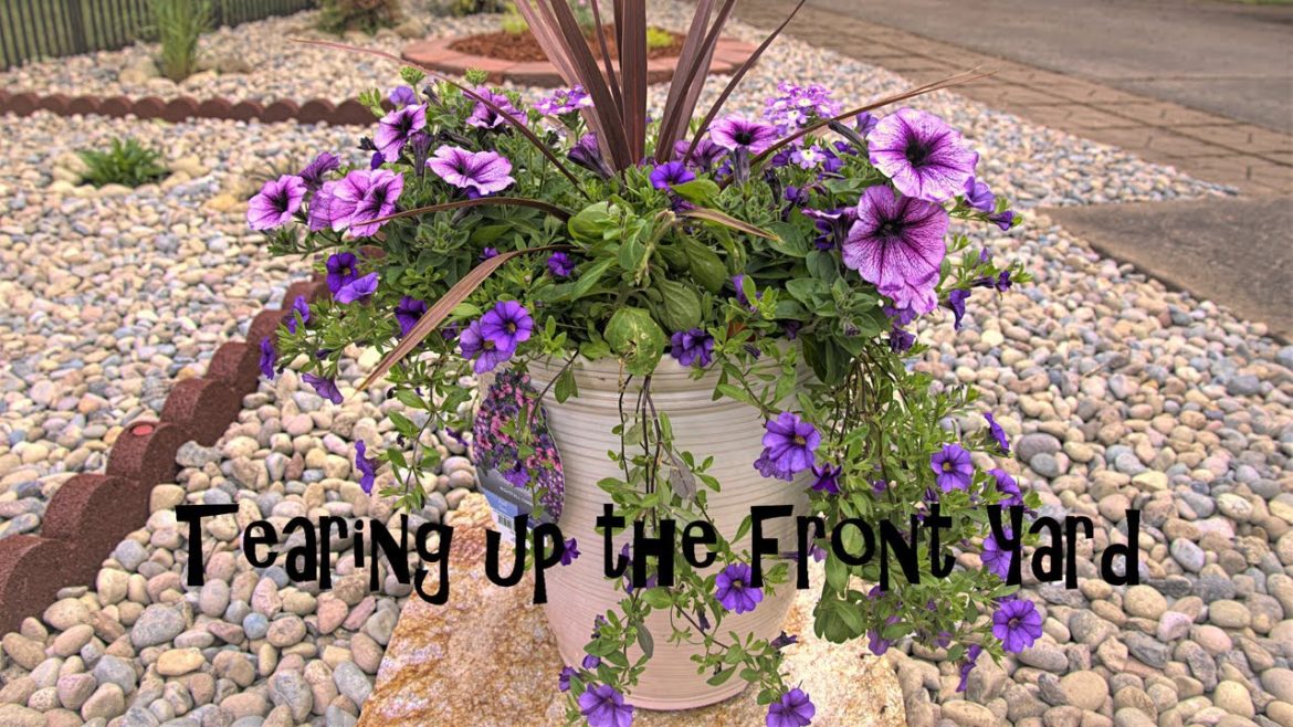 Front yard landscape Front yard landscape