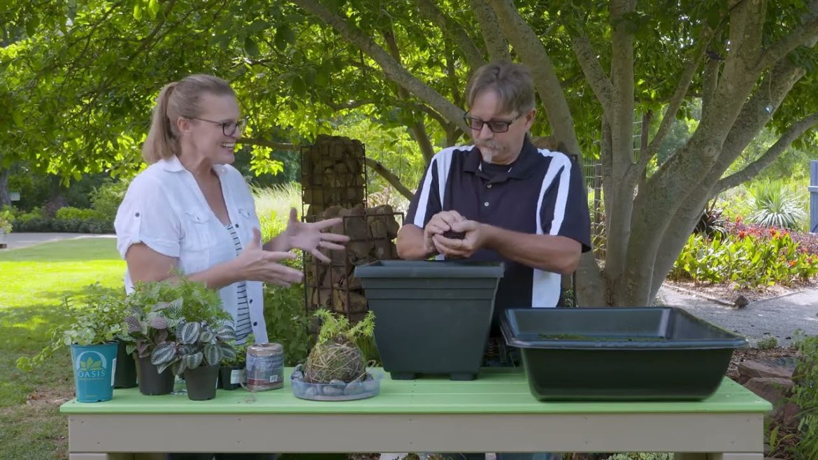 Oklahoma Gardening October 22, 2022
