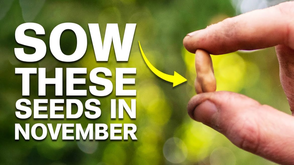 The Gourmet Vegetable That Time Forgot