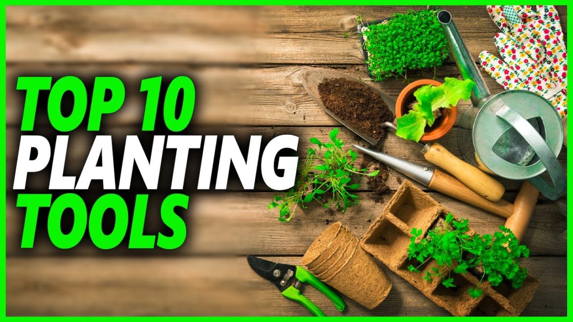 Top 10 Best Planting Tools and Equipment That Most Gardeners Overlook Top 10 Best Planting Tools and Equipment That Most Gardeners Overlook