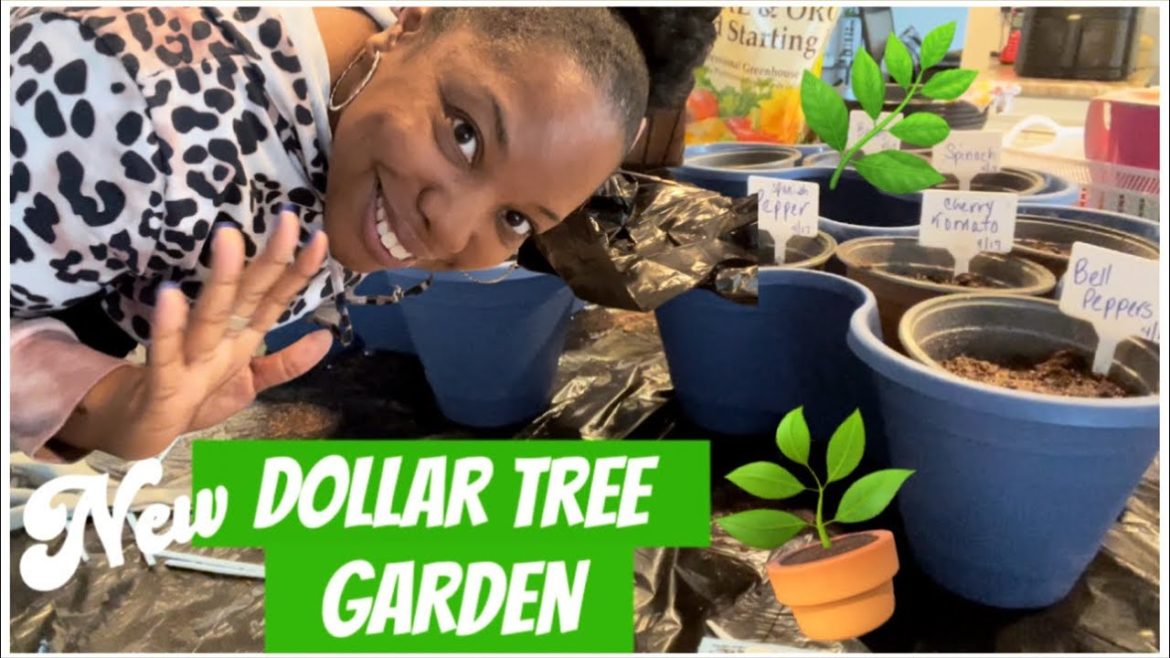 PLANTING MY DOLLAR TREE SEEDS | DOLLAR TREE GARDEN SUPPLIES | DOLLAR TREE HERBS | PLANTING 2022