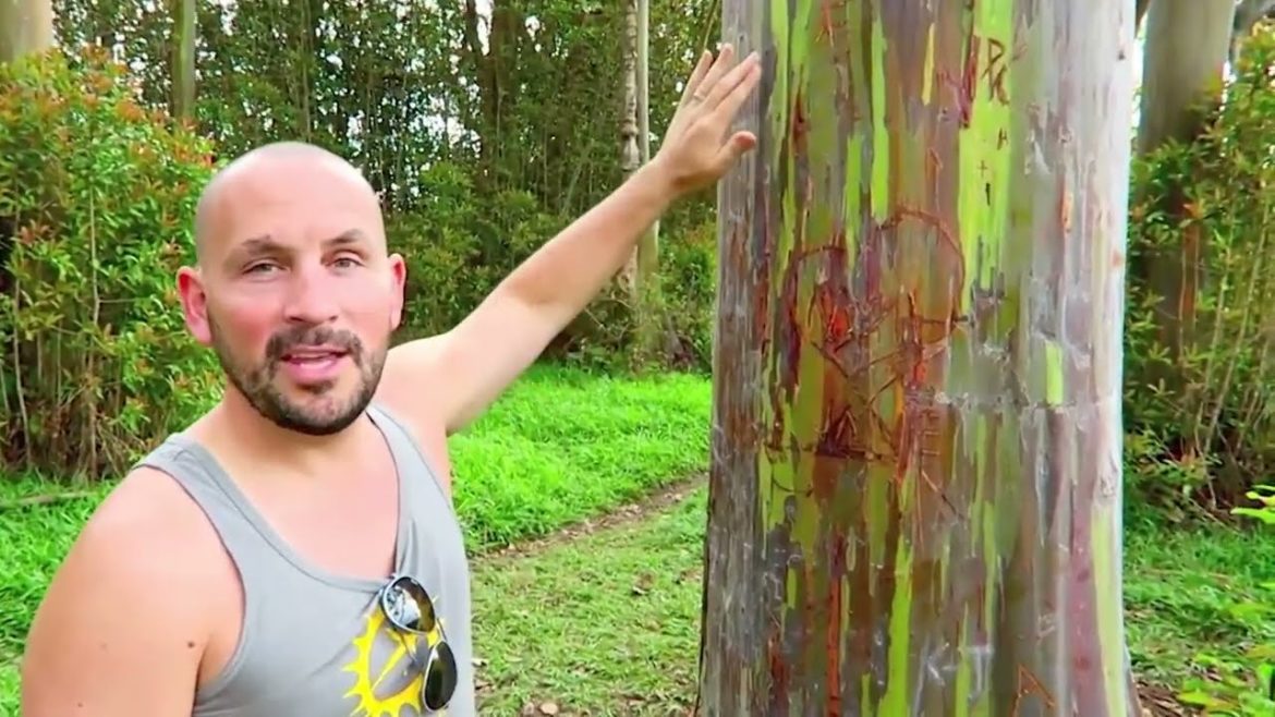 Damn, Nature, You Scary