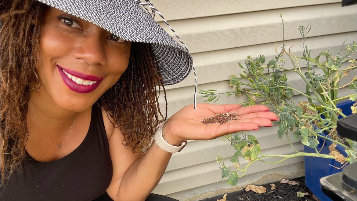 Gardening 2022 Container Gardening Suburban Homestead Food Security