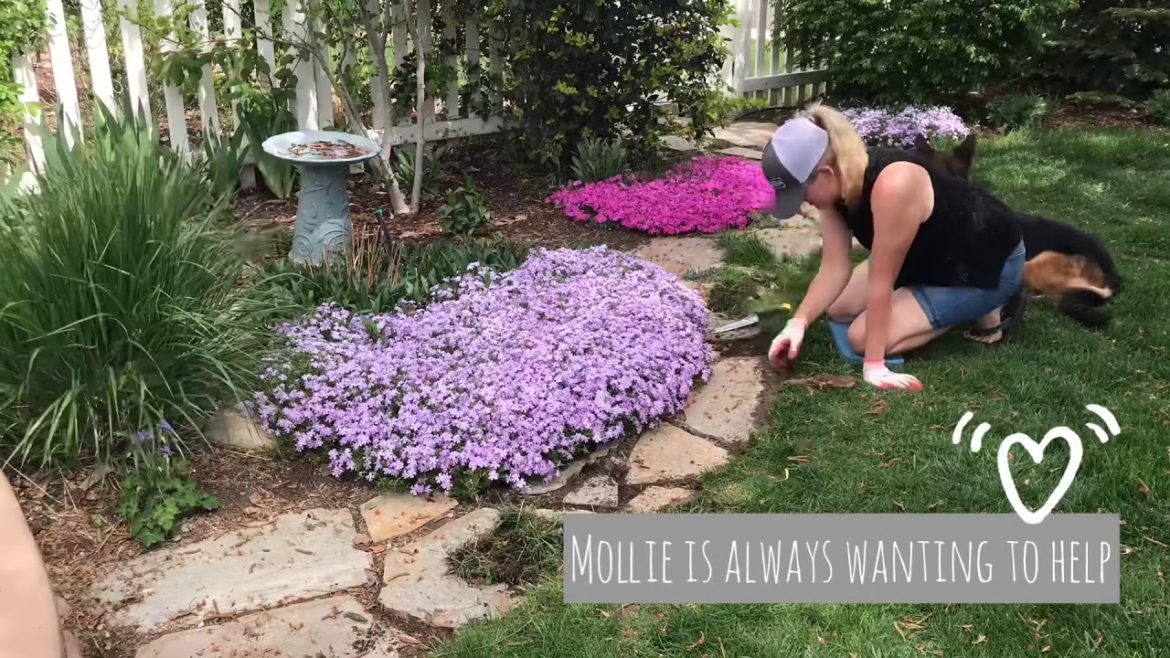 Weeding Our Rock Pathway - Backyard Landscape