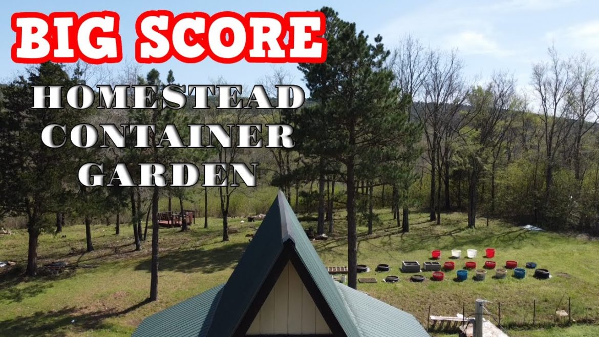CONTAINER GARDENING, CITY YARDS, COUNTRY YARDS! IT WORKS. WE MUST ALL PLANT OUR FOOD NOW! CONTAINER GARDENING, CITY YARDS, COUNTRY YARDS! IT WORKS. WE MUST ALL PLANT OUR FOOD NOW!