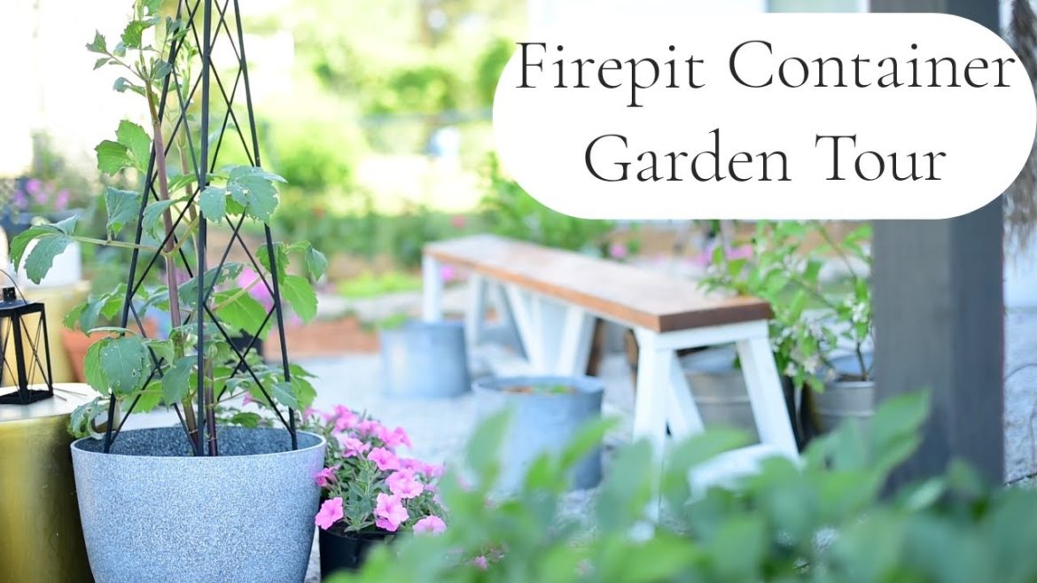 Fire Pit Clean-Up + Container Garden Tour Fire Pit Clean-Up + Container Garden Tour