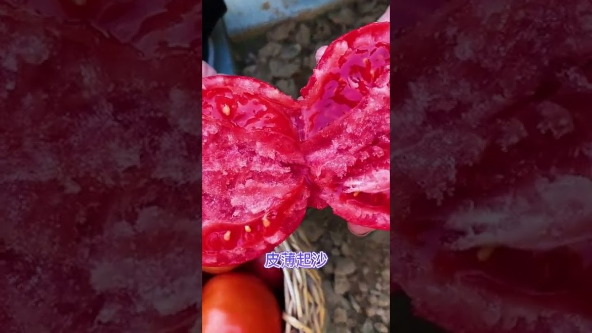 October Tips for garden  at home with me