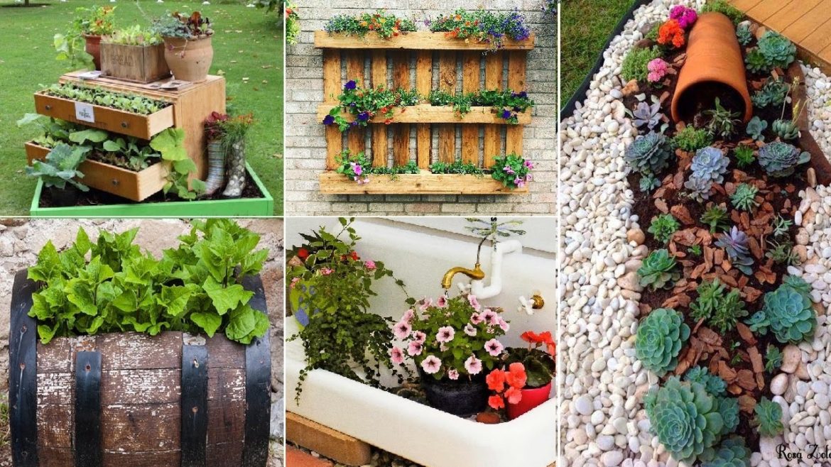 75+ Fun and Recycled Container Gardening Ideas | MY GARDEN TV 75+ Fun and Recycled Container Gardening Ideas | MY GARDEN TV
