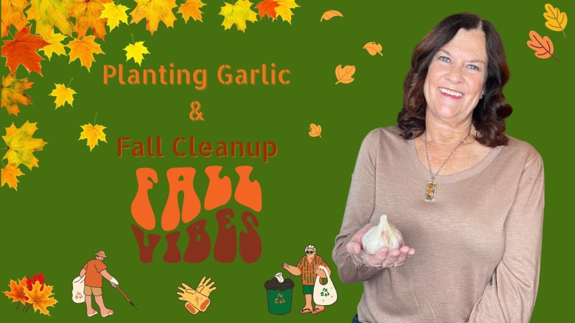 Planting Garlic and Fall Cleanup Planting Garlic and Fall Cleanup