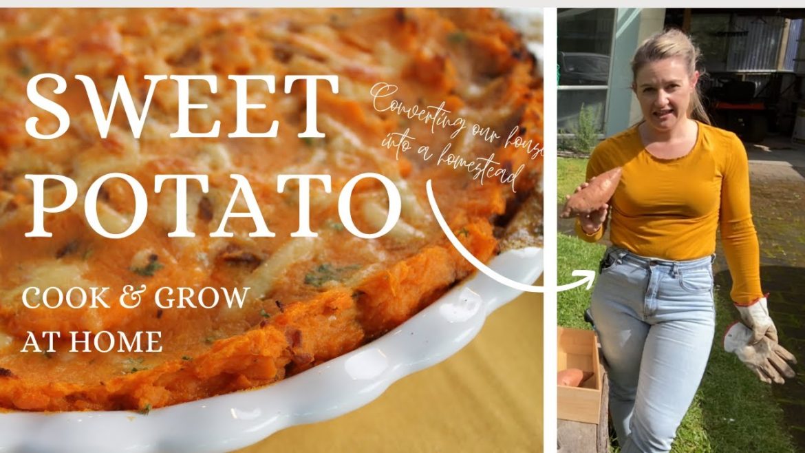 Growing and cooking sweet potatoes at home | PROPAGATE HARVEST COOK KUMARA