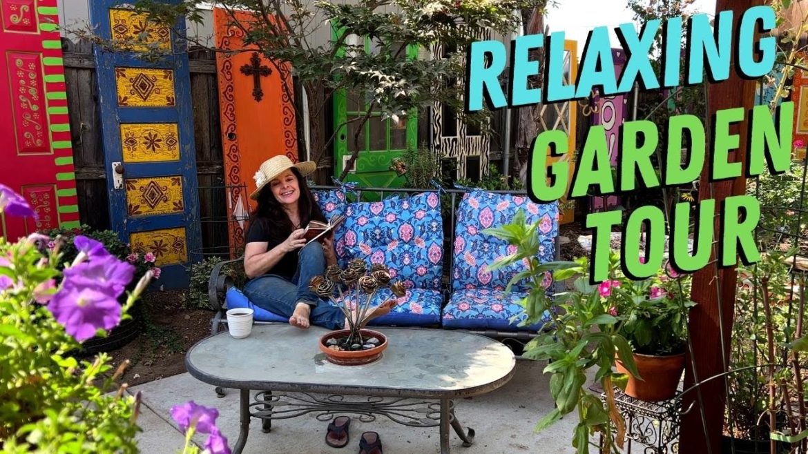 Relaxing Fall Garden Tour – Front & Back (zone 9b) Relaxing Fall Garden Tour - Front & Back (zone 9b)