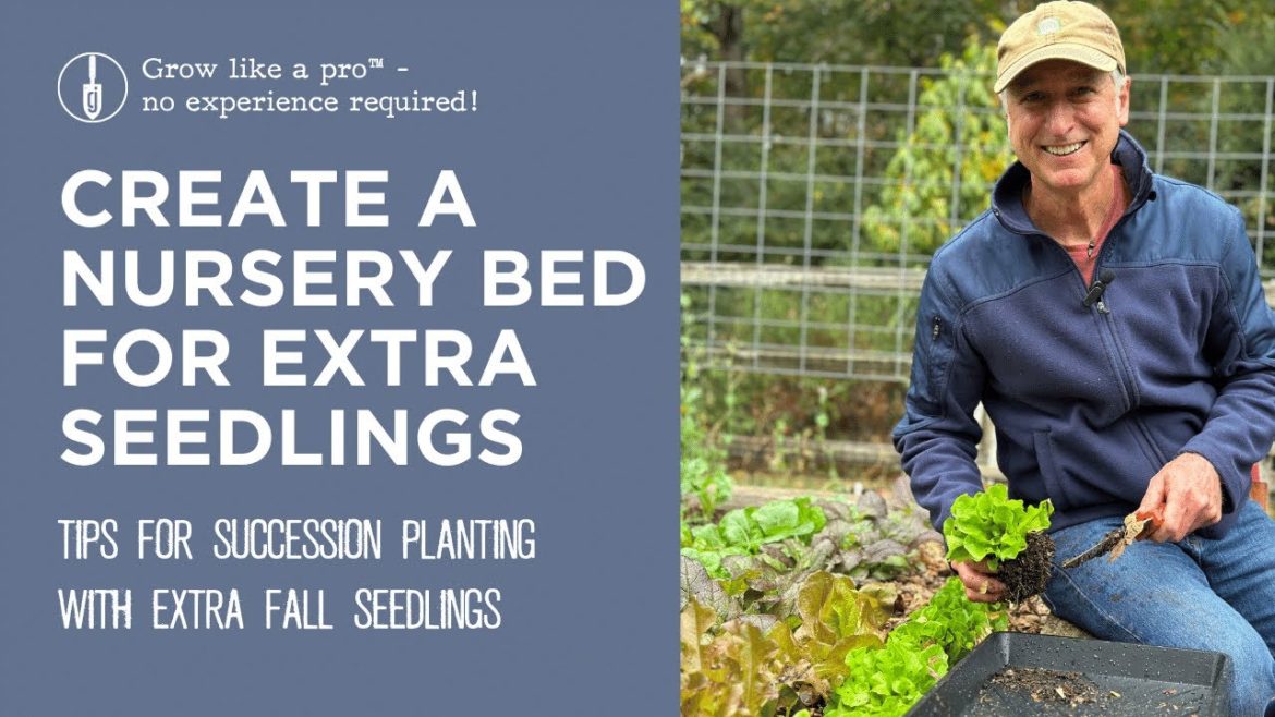 How to Create a Nursery Bed in Your Garden | Fall Succession Planting Tip How to Create a Nursery Bed in Your Garden | Fall Succession Planting Tip