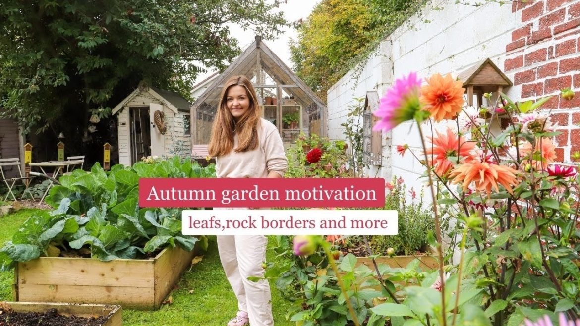 Garden motivation, leaf tidy, border edging and some satisfying Autumn garden cleaning Garden motivation, leaf tidy, border edging and some satisfying Autumn garden cleaning