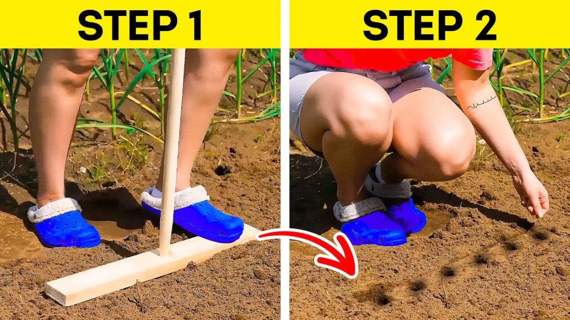 Fantastic Tips to Grow Your Own Plants, Fruits&Veggies