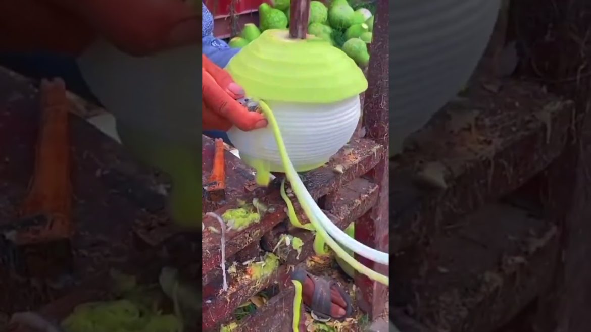 Vegetables are grated like noodles #shorts #gardening