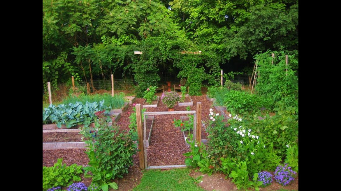 GARDENING TIPS FOR EVERY ASPIRING AND GARDENER ENTHUSIASTS GARDENING TIPS FOR EVERY ASPIRING AND GARDENER ENTHUSIASTS