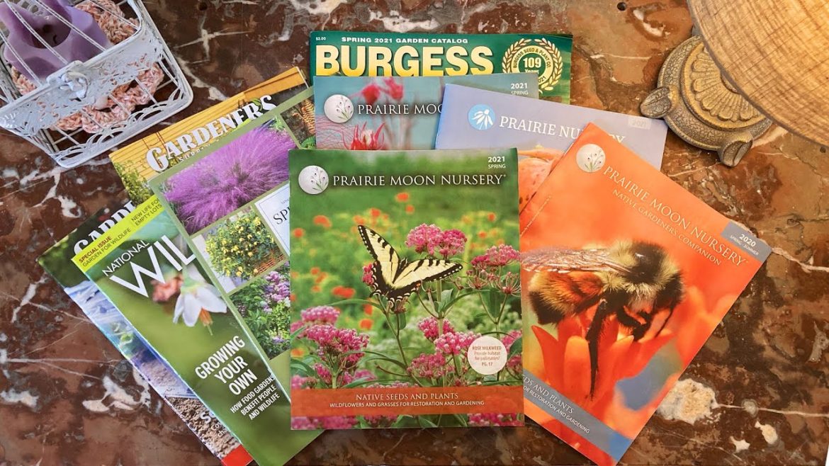 My Favorite Gardening Books || Part 3 || Seed and Plant Catalogs My Favorite Gardening Books || Part 3 || Seed and Plant Catalogs