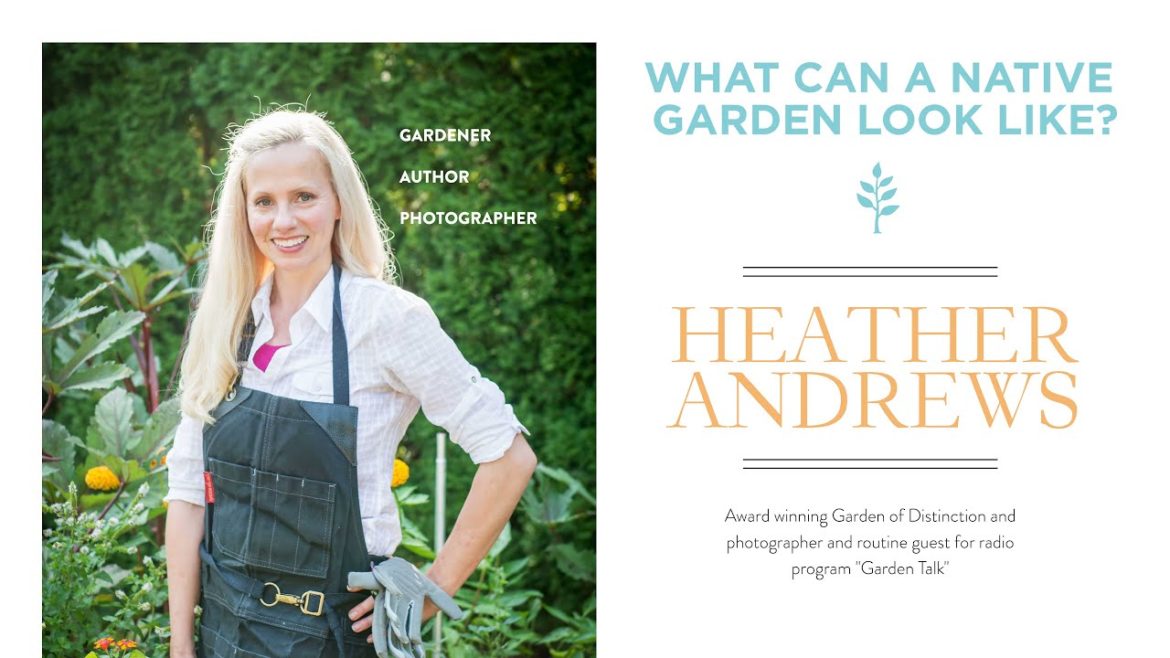 What Can A Native Garden Look Like? | Native Landscape Plans