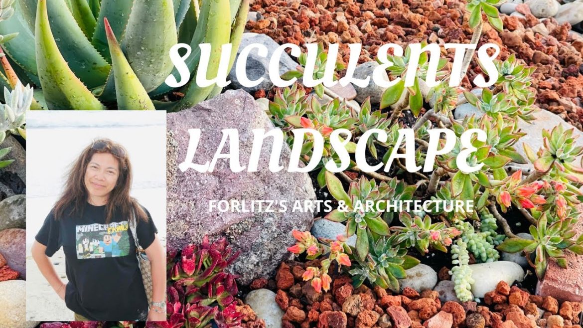 DIY Front yard landscape