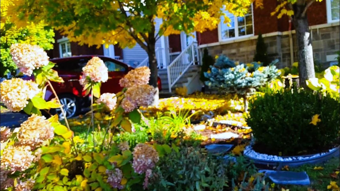 FALL FRONT YARD PERENNIAL GARDEN TOUR | EVERYTHING IS CHANGING | 3rd Week Of October