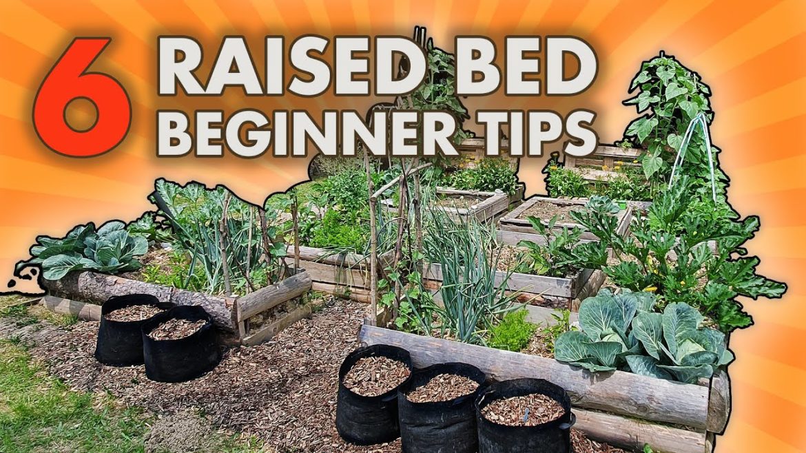 My BEST 6 Raised Bed Garden Tips I Wish I Knew Sooner My BEST 6 Raised Bed Garden Tips I Wish I Knew Sooner